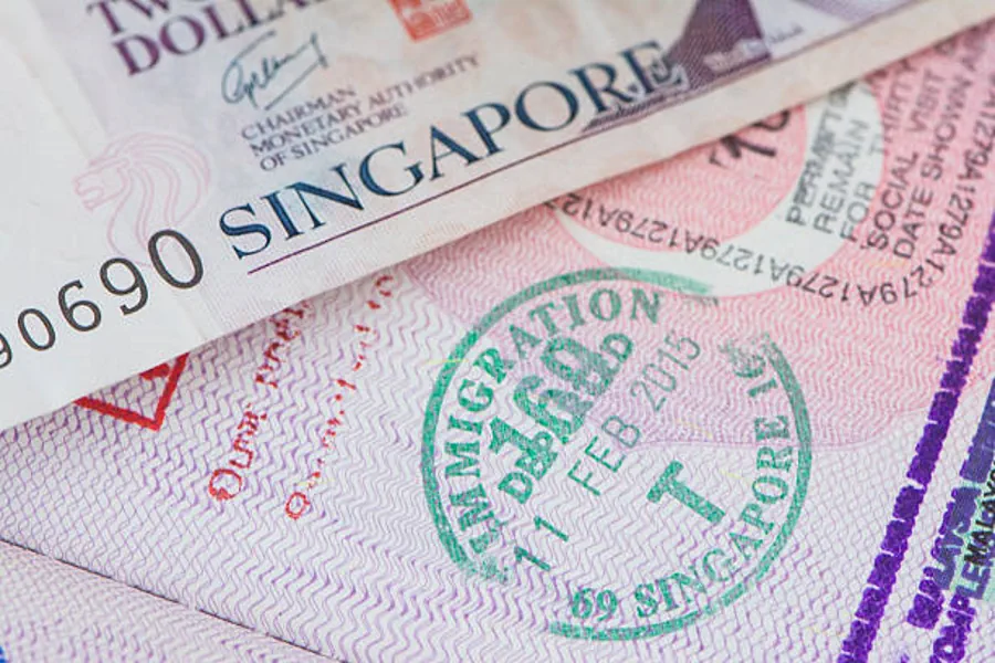 Нужна ли виза в сингапур 2024. Сингапур виза. Печать Сингапур.